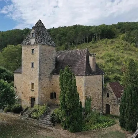 Superbe Manoir Du 16e Siecle Avec Piscine Pour 10 Saint-Cyprien (Dordogne)