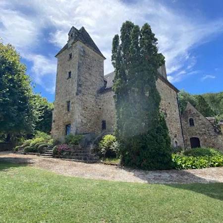 Superbe Manoir Du 16e Siecle Avec Piscine Pour 10 Σπίτι διακοπών Saint-Cyprien (Dordogne)